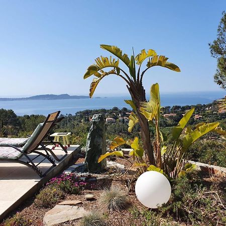 Pretty House With Sea View On The Hy Res Hyères Exterior foto